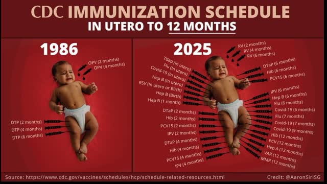 Templar Report with Jim Dowson 11/12/2025