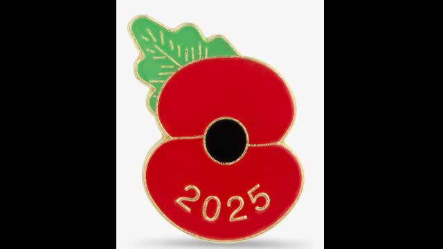 11 November 2025 - We WILL remember them.