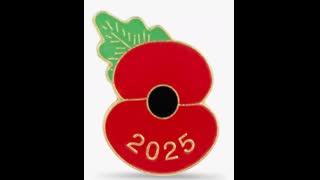 11 November 2025 - We WILL remember them.