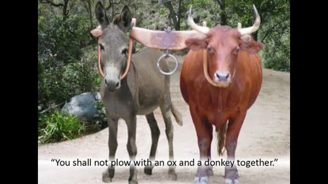 2 Corinthians 6: Be careful who you hitch your wagon to