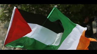 9pm Live Stream | Pro-Palestine Hypocrites | 16/5/21