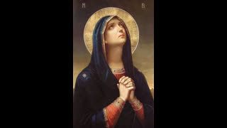 Skip to content British Freedom Report : The Christian Nationalist Party 16 DEC 2024